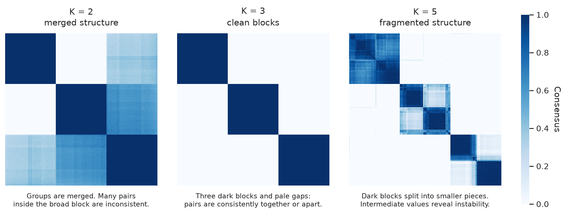 Three annotated consensus heatmaps compare merged structure at K 2, clean blocks at K 3, and fragmented structure at K 5.