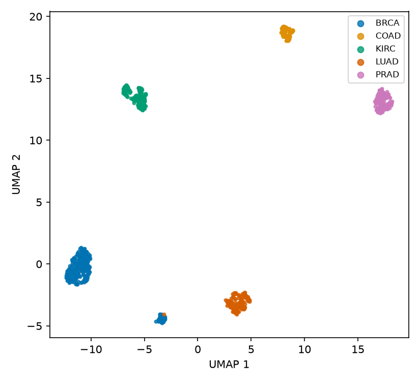 A scatter plot in which most samples form five compact, label-homogeneous regions. A secondary, mostly breast-cancer island appears away from the main breast-cancer region.