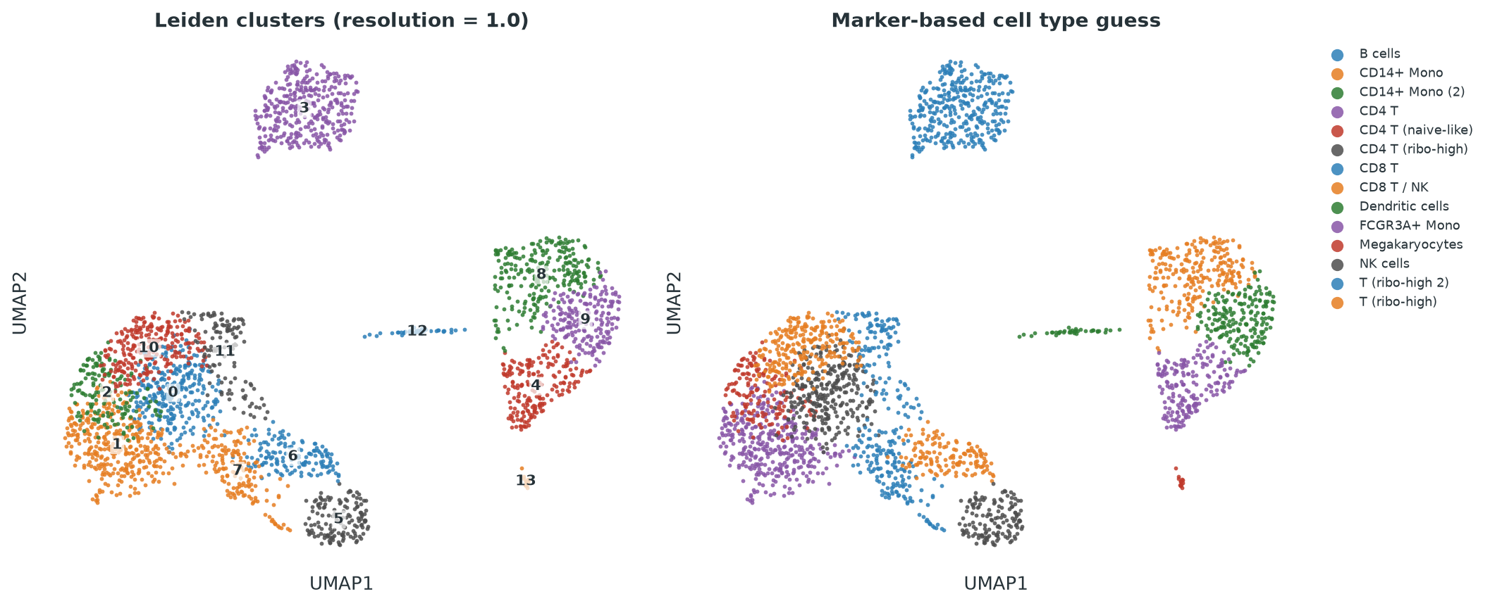 Two UMAP scatter plots showing the same PBMC3k cells arranged into four visually separated islands: a large T-cell-like island, a nearby NK island, a B-cell island, and a monocyte island split into two lobes, plus one very small isolated cluster of megakaryocytes. The left plot is colored by 14 numbered Leiden clusters. The right plot is colored by cell type labels derived from marker genes, showing several of the numbered clusters collapsing into the same broader cell type.