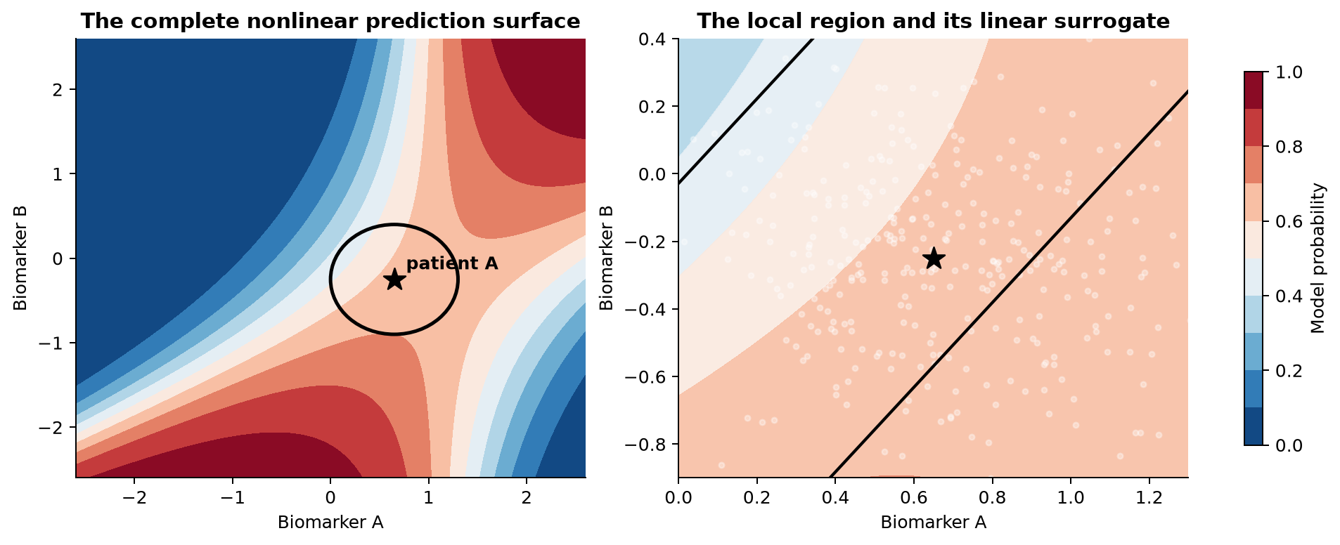 Two panels show a nonlinear colored probability surface. The left marks patient A and a circular neighborhood. The right magnifies that neighborhood and overlays straight contour lines from a local linear surrogate.