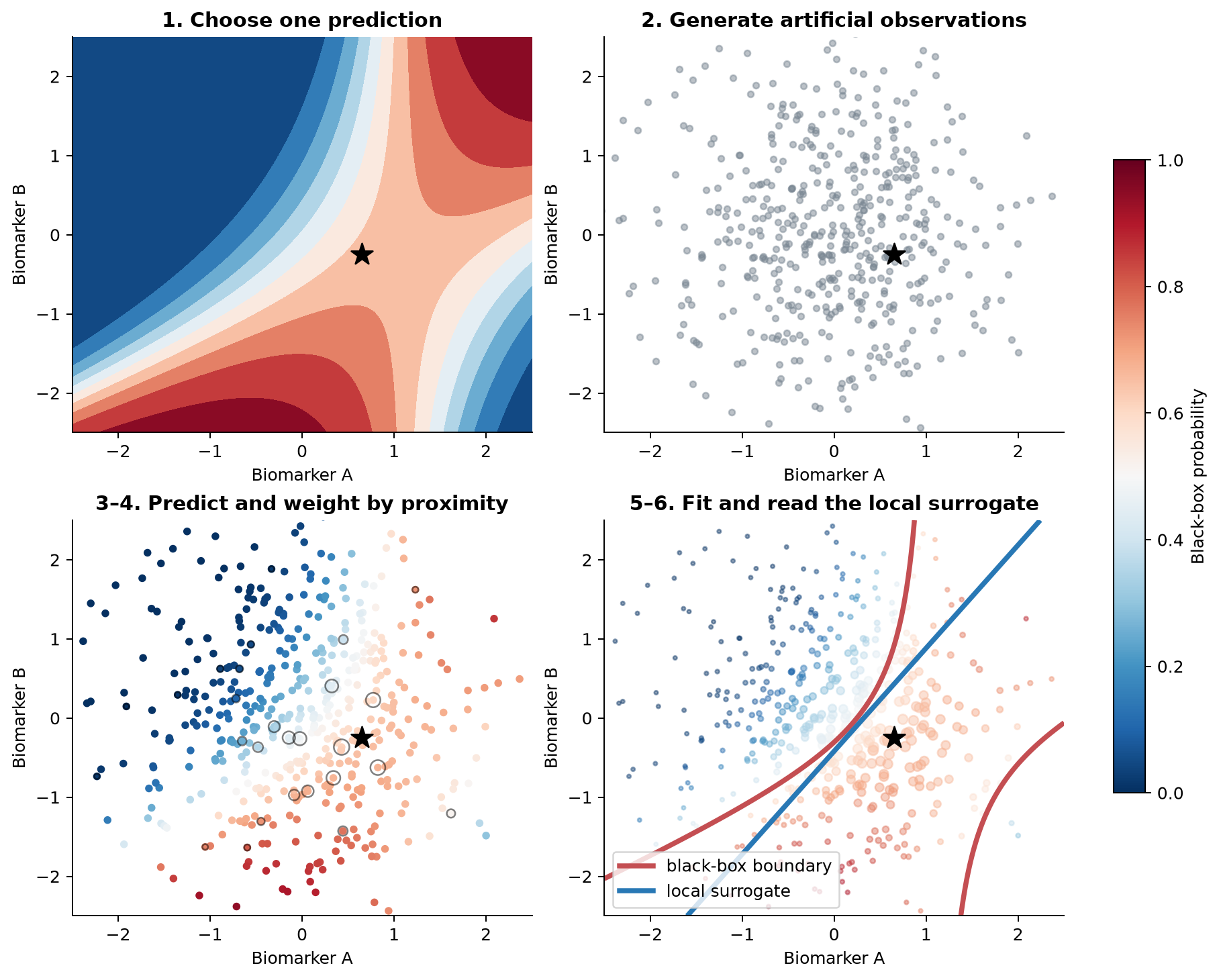 Four panels show a selected patient on a probability surface, a cloud of artificial observations, the same observations colored by black-box probability and weighted by proximity, and a linear surrogate boundary over the curved black-box boundary.